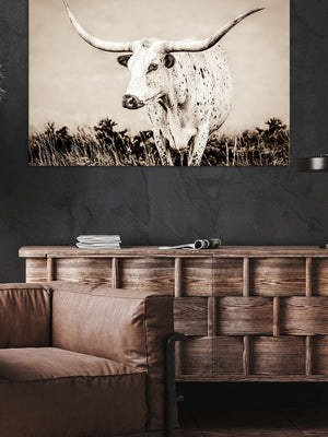 Texas Longhorn wall canvas barnwood framed Western fine art print by Debra Gail Fine Art