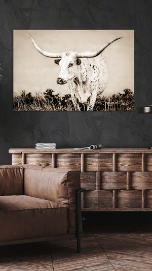 Texas Longhorn wall canvas barnwood framed Western fine art print by Debra Gail Fine Art