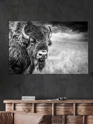 Buffalo wall art – Great Plains wildlife wall decor by Debra Gail Fine Art