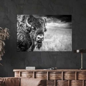 Buffalo wall art – Great Plains wildlife wall decor by Debra Gail Fine Art