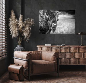 American Bison Canvas Print | Black and White Western Wildlife Wall Art