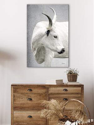 Texas Longhorn wall art – Western ranch photography print by Debra Gail Fine Art