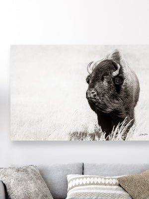 Bison wall art – rustic prairie photography print by Debra Gail Fine Art