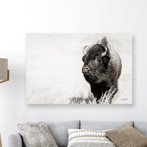 Bison wall art – rustic prairie photography print by Debra Gail Fine Art