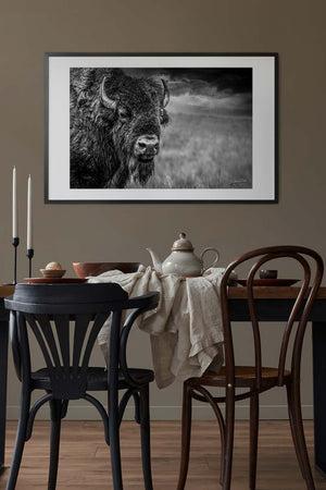 Buffalo wall art – Great Plains wildlife wall decor by Debra Gail Fine Art