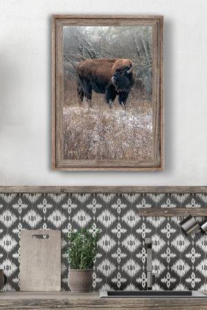 Bison wall art – vertical buffalo canvas prairie photography print by Debra Gail Fine Art