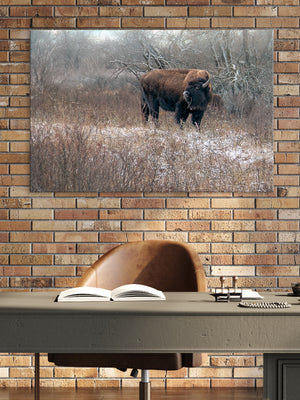 Buffalo fine art print – Great Plains wildlife wall decor by Debra Gail Fine Art