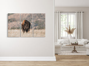 American Buffalo Triptych Wall Art | 3-Panel Canvas