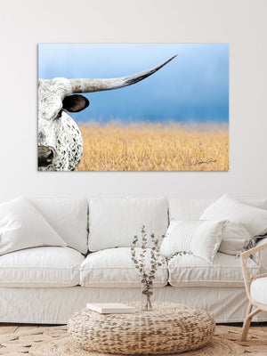 Texas longhorn cattle canvas wall art – western farmhouse decor
