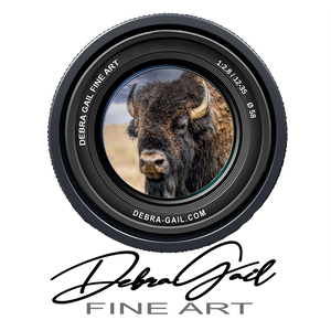 Debra Gail Fine Art