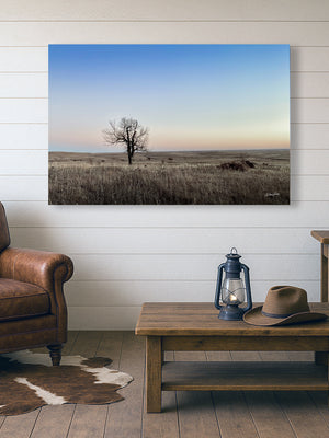 Flint Hills wall art – prairie tree landscape photography by Debra Gail Fine Art
