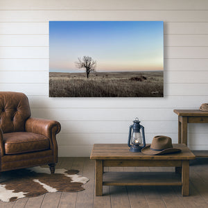 Flint Hills wall art – prairie tree landscape photography by Debra Gail Fine Art