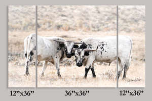 Cow triptych wall art – rustic Western split canvas photography by Debra Gail Fine Art