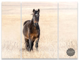 WILD HORSE CANVAS - 3 PANEL WALL ART SET