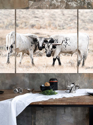 Cow triptych wall art – rustic Western split canvas photography by Debra Gail Fine Art