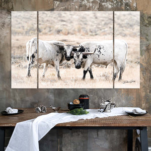 Cow triptych wall art – rustic Western split canvas photography by Debra Gail Fine Art