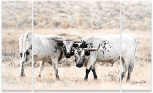 Cow triptych wall art – rustic Western split canvas photography by Debra Gail Fine Art