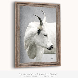 Texas Longhorn wall art – Western ranch photography print by Debra Gail Fine Art