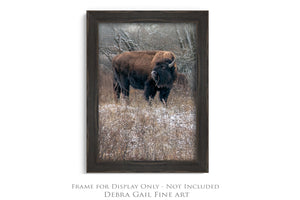 Bison wall art – vertical buffalo canvas prairie photography print by Debra Gail Fine Art