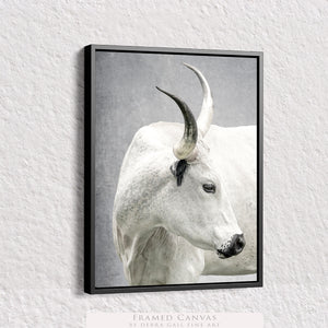 Texas Longhorn wall art – Western ranch photography print by Debra Gail Fine Art