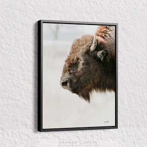 Buffalo fine art print – Great Plains wildlife wall decor by Debra Gail Fine Art