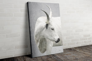 Texas Longhorn wall art – Western ranch photography print by Debra Gail Fine Art