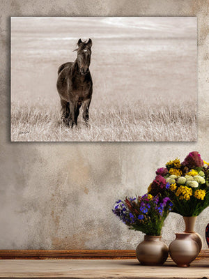 Wild Horse wall art – rustic Western fine art print by Debra Gail Fine Art