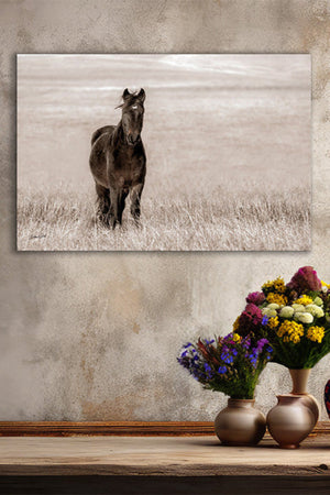Wild Horse wall art – rustic Western fine art print by Debra Gail Fine Art