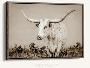 Longhorn Canvas Wall Art | Texas Longhorn Art - Rustic Western Wall Decor