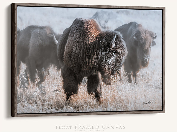 Bison in the Snow - Rustic Art Canvas Print No. 7745