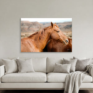 Western Horse Photography | Rustic Ranch Decor, Chestnut Horse Canvas Print