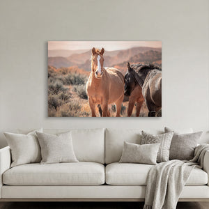 Wild Horses of the Pryor Mountains | Wild Horse Fine Art Photography