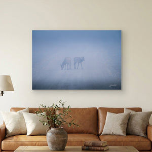 Bull Elk Wall Art | Foggy Great Plains Photography