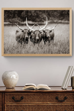 Longhorn cow wall decor canvas – rustic Western fine art print by Debra Gail Fine Art