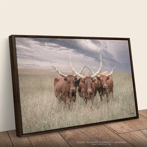 Texas Longhorn Canvas Art | Trio of Watusi Longhorns Rustic Western Wall Decor