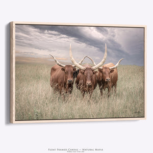 Texas Longhorn Canvas Art | Trio of Watusi Longhorns Rustic Western Wall Decor