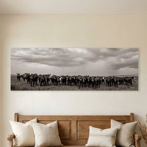 Black Angus Photography in Sepia | Panoramic Wide Cattle Canvas - Rustic Decor