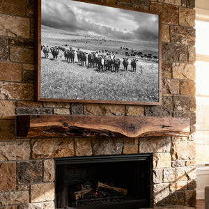 A framed black and white landscape photograph of a herd of cattle in a field, by Debra Gail Fine Art