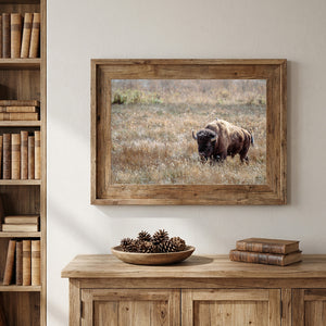 Bison Wall Art | Western & Rustic Warm Fine Art Buffalo Canvas and Prints
