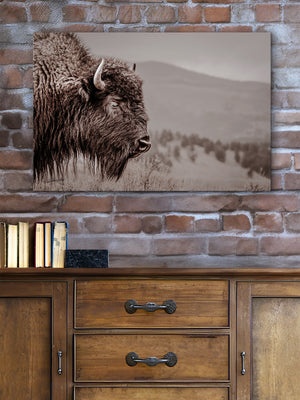 Bison wall art print - rustic buffalo photography on canvas by Debra Gail Fine Art