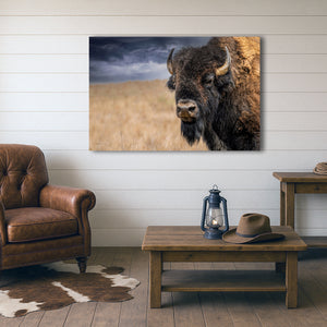 Buffalo White Spiritial Bison wall art canvas – fine art print by Debra Gail Fine Art