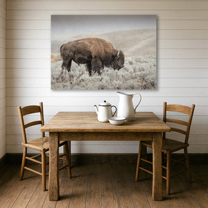 Bison wall art – rustic prairie photography print by Debra Gail Fine Art