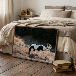American Paint Horse Wall Art | Wyoming Western Fine Art Canvas