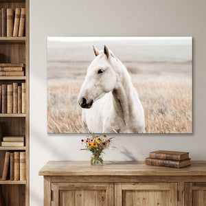 Minimalist Wyoming wild horse fine art photography for contemporary western home decor.