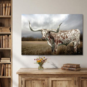 Rustic Texas Longhorn canvas wall art for contemporary western home decor.