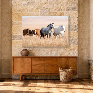 Kansas Flint Hills Wild Horses Wall Art – Prairie Horse Photography