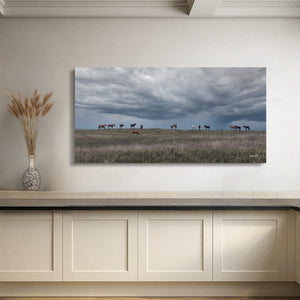 Wild Horse Panoramic Wall Art | Rustic Western Prairie Canvas Print