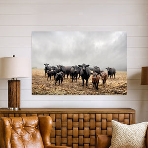 Black Angus Cattle Wall Art Canvas – Rustic Western Farmhouse Print