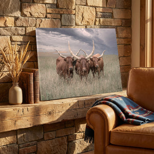 Texas Longhorn Canvas Art | Trio of Watusi Longhorns Rustic Western Wall Decor