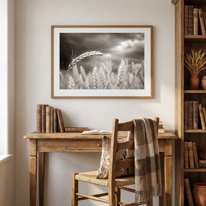 Rural Wheat Field Wall Art | Kansas Prairie Photography